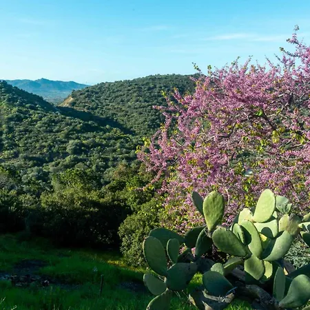 Lejlighed Casa Cedro